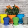 Pot Standard w/ Saucer Lime 6-1/4 in. x 6 in. 