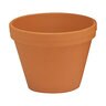 Pot German Azalea Terracotta 5 in. x 4 in.