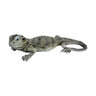 Statue Bearded Dragon Grey Green 12-1/4 in. x 6 in. x 3-1/2 in.