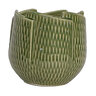Poppins Pot Romaine Green 5-1/2 in. x 5 in.
