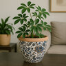 Pot Abigail Floral Blue & White w/Terra Cotta Rim 6 in. x 4-1/2 in.
