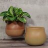 Pot Tessa Smokey Umber 7 in. x 5-1/2 in.