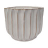 Pot Petoskey Ribbed Planter Daisy White 6-1/2 in. x 5 in.