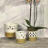 Arabesque Orchid Pot with Saucer