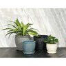 Pebble Planter w/Attached Saucer Black 10-1/4 in. x 9 in.