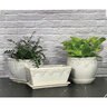 Ivy League Window Box w/Attached Saucer Moonstone 12 in. x 5-1/2 in.