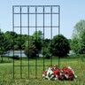 Border Concepts Trellis Glencoe Black 48 in. x 88 in.