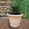 Border Concepts Classic Rolled Rim Siena Terracotta 15-1/4 in. x 13 in.