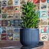 Border Concepts Flute Round Planter Lead 14-1/4 in. x 12-1/4 in.
