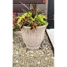 Border Concepts Planter Tulip Med Siena Terracotta 17 in. x 15 in.