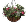 Liberty Hanging Basket 14 in.