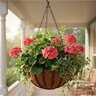 Liberty Hanging Basket 14 in.
