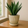 Planter w/ Attached Saucer Dimensional White 10-1/4 in. x 9 in.