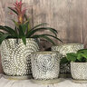 Corinne Planter w/Attached Saucer Silver Wash 9-3/4 in. x 10-1/4 in.