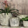 Planter w/ Attached Saucer Corinne Silver Wash 11-3/4 in. x 12-1/4 in.