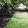Border Concepts Border Line Landscape Edging Black Steel 1/8 in. x 4 in. x 10 ft.