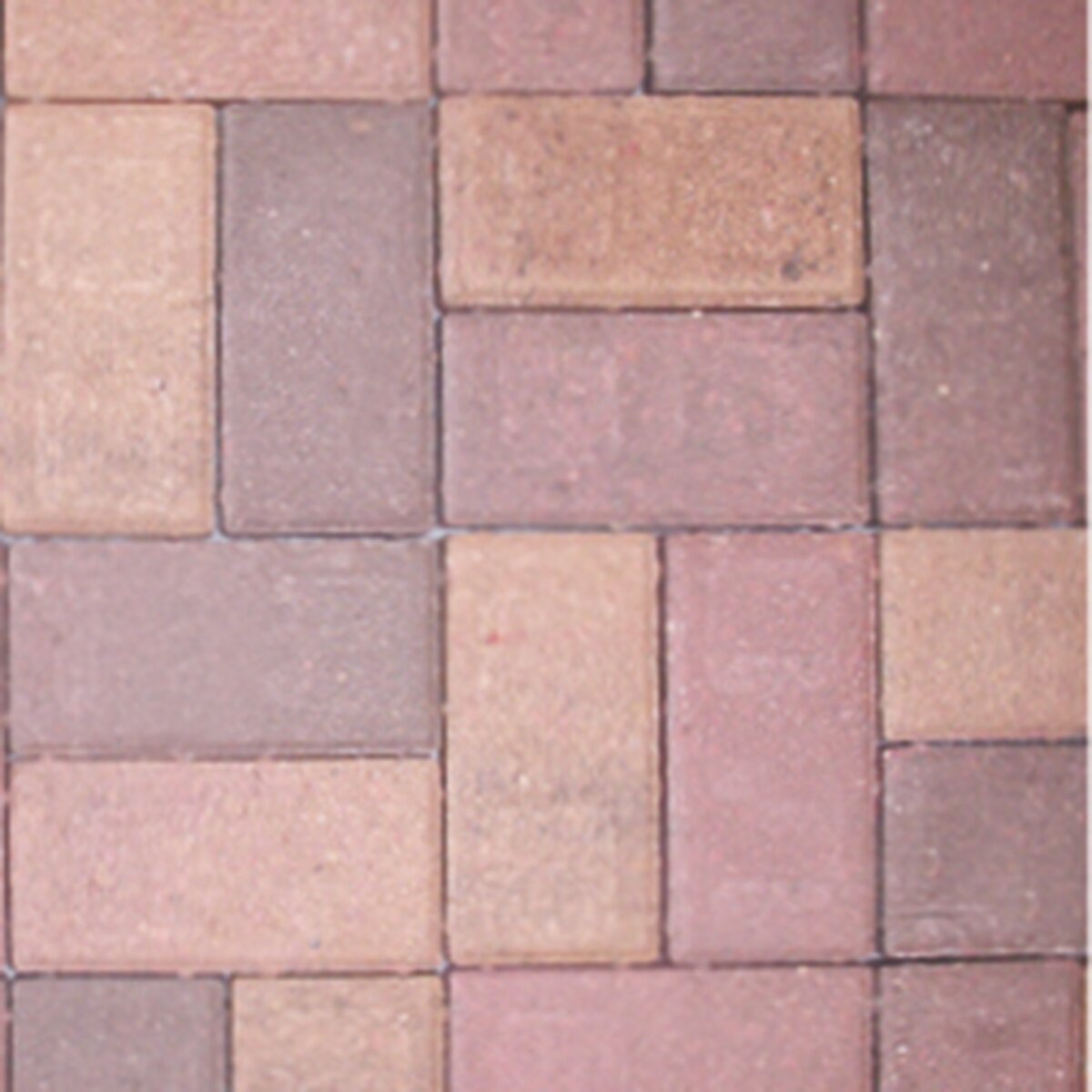Borgert Holland Paver Autumn Blend 4 in. x 8 in. 60 mm (94 sq. ft ...