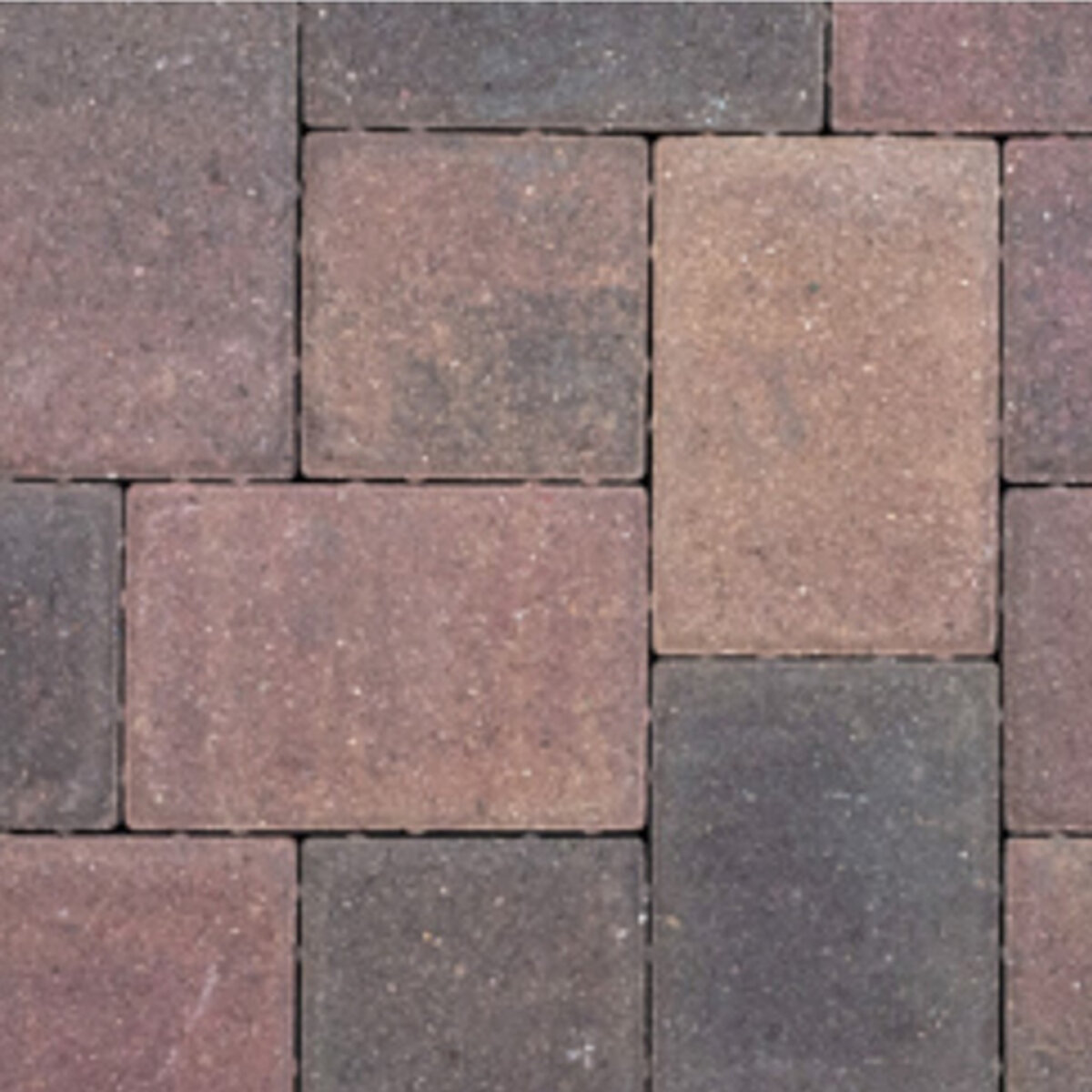 Basalite Borgert Cobble Paver Square Autumn Blend 6 in. x 6 in. (85.4 ...