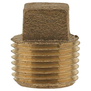 Brass Plug 2 in.
