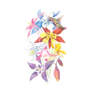 Columbine Wildflower Seed McKana Giants Blend 200 mg