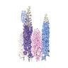 Delphinium Wildflower Seed Pacific Giant Blend 200 mg.