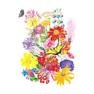 F Mix Bring Home the Butterflies Widlfower Seed large packet 10 gm