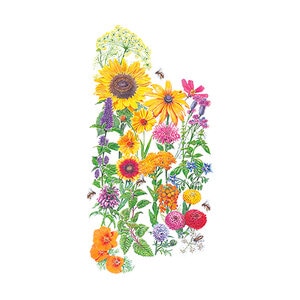 F Mix Save the Bees Wildflower Seed large packet 12 gm