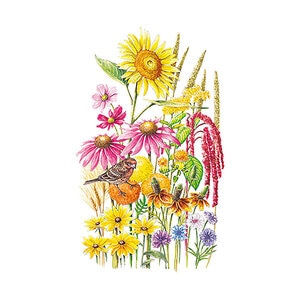 F Mix Songbird Delight Flower Seed  40 grams