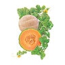 Melon Vegetable Seed Hearts of Gold Organic 1 gm