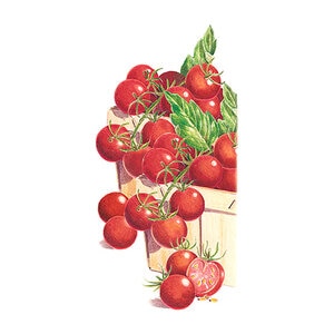 Tomato Cherry Vegetable Seed Sweetie Organic 25 Seeds