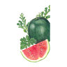 Watermelon Vegetable Seed Sugar Baby Organic 1.5 gm