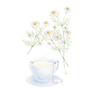 Chamomile German Organic 250 mg