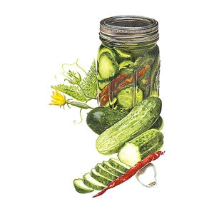 Cucumber Vegetable Seed Homemade Pickles Organic 1.5 gm