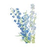 Larkspur Flower Seed Shades of Blue 750 mg