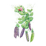 Pea Snap Purple Sugar Magnolia Vegetable Seed 14 gm