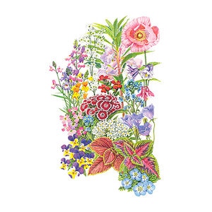 Made in the Shade Flower Seed 9 gm