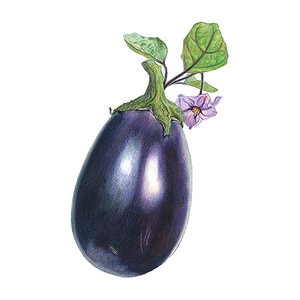 Eggplant Black Beauty Org Vegetable Seed 30 seeds