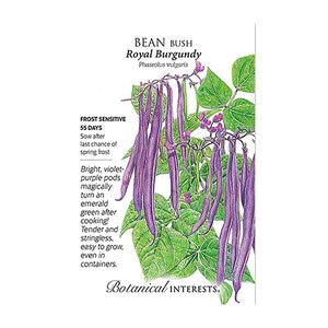 Bean Bush Royal Burgandy ORG Vegetable Seed 15 grams