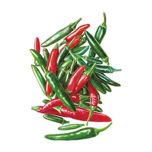 Pepper Vegetable Seed  Chile Serrano 400 mg