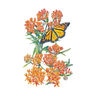 Milkweed Butterfly Flower Seed 150 mg