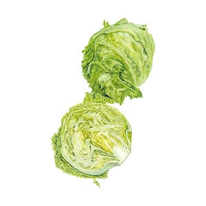 Lettuce Vegetable Seed Crisphead Great Lakes 1 gram