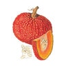 Pumpkin Red Warty Thing Vegetable Seed 8 Seed/Bag