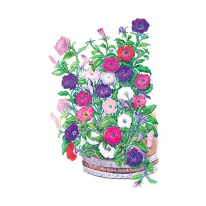 Petunia Petite Charmer Blend Seed