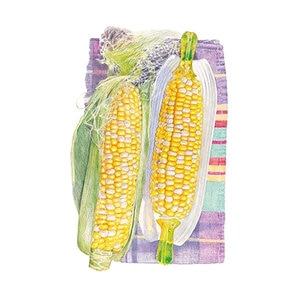 Corn Swt Bicolor Vegetable Seed Honey & Cream 28 gm