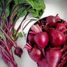 Beet Red Vegetable Seed Early Wonder Organic 2 gm