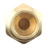 1/4 in. BARB(BIG TUBE) X 1/8 in.MPT BRASS ADAPTER