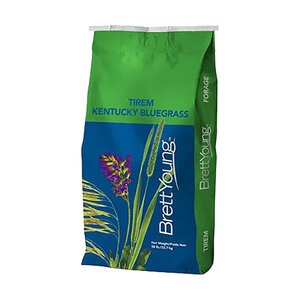 Action Kentucky Bluegrass Seed 50 lb.