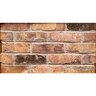 Bricks Inc. Reclaimed Thin Brick Old Chicago Flats 6 pc. for each sq. ft.