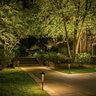 BrillianceBlack Diamond Path Light Blackened Brass 3W LED 24