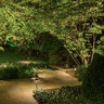 BrillianceBlack Diamond Path Light Blackened Brass 3W LED 24